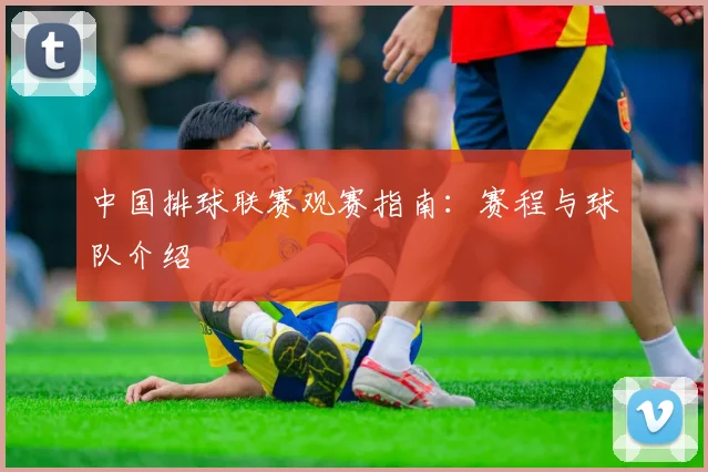 中国排球联赛观赛指南：赛程与球队介绍