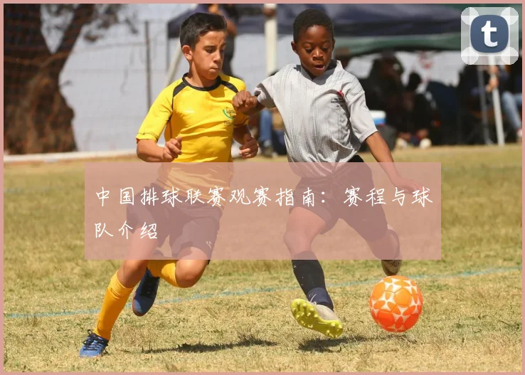 中国排球联赛观赛指南：赛程与球队介绍