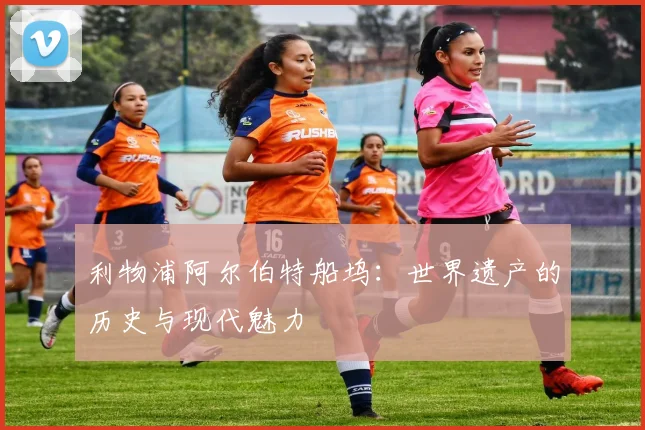 利物浦阿尔伯特船坞：世界遗产的历史与现代魅力