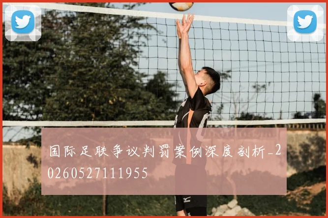 国际足联争议判罚案例深度剖析_20260527111955