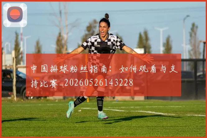 中国排球粉丝指南：如何观看与支持比赛_20260526143228