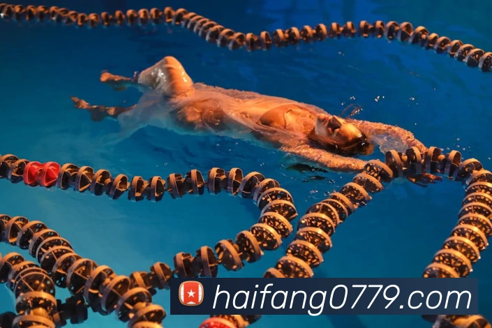 奖项图1